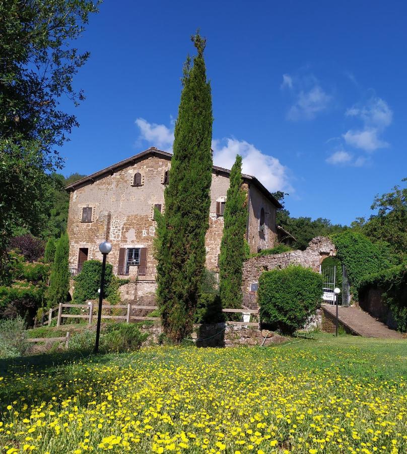B&B Il Giardino Del Borgo Veiano Zewnętrze zdjęcie